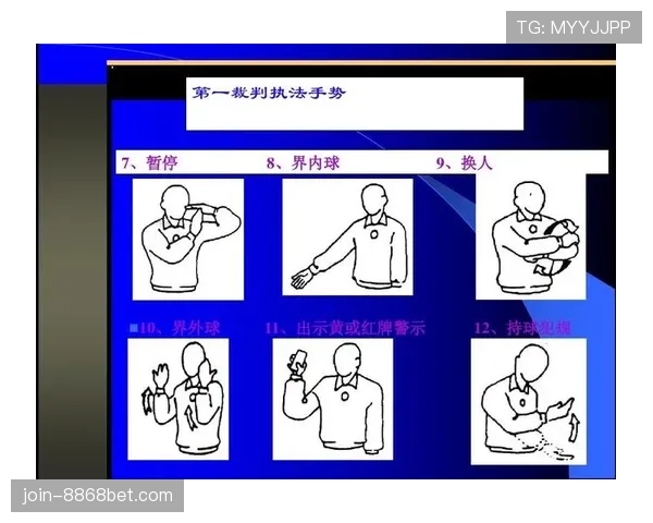 比赛暂停期间的规则适用与裁判判罚依据